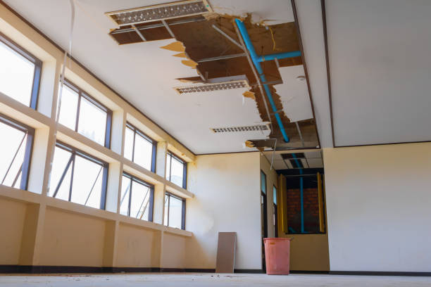 Best Water damage restoration experts  in Philipsburg, PA