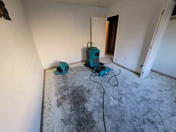 Best Sewage cleanup and water damage restoration  in Philipsburg, PA